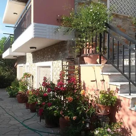 View & Garden