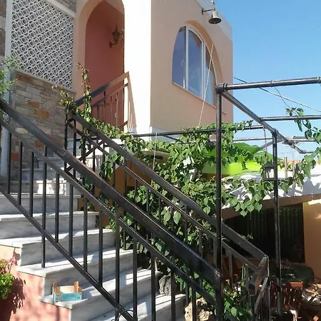 View & Garden